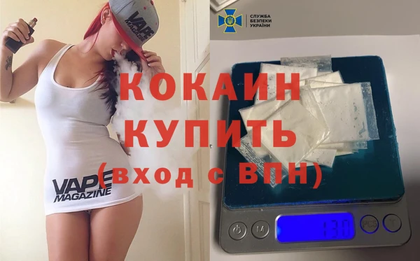 эйфоретик Вяземский