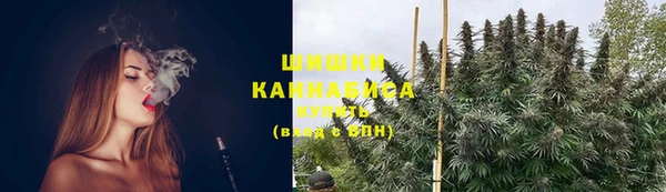 эйфоретик Вяземский