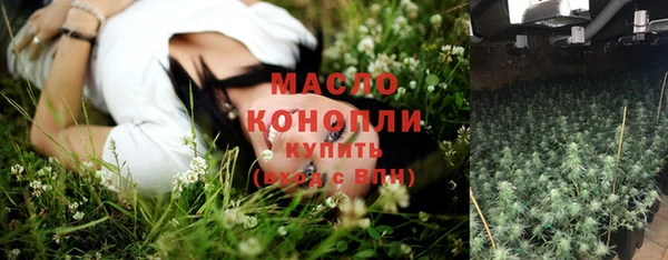 эйфоретик Вяземский