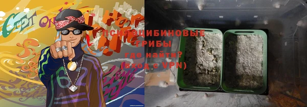 эйфоретик Вяземский